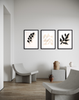 Set de 3 cuadros decorativos “Botánica Sombra” de 53x73cm