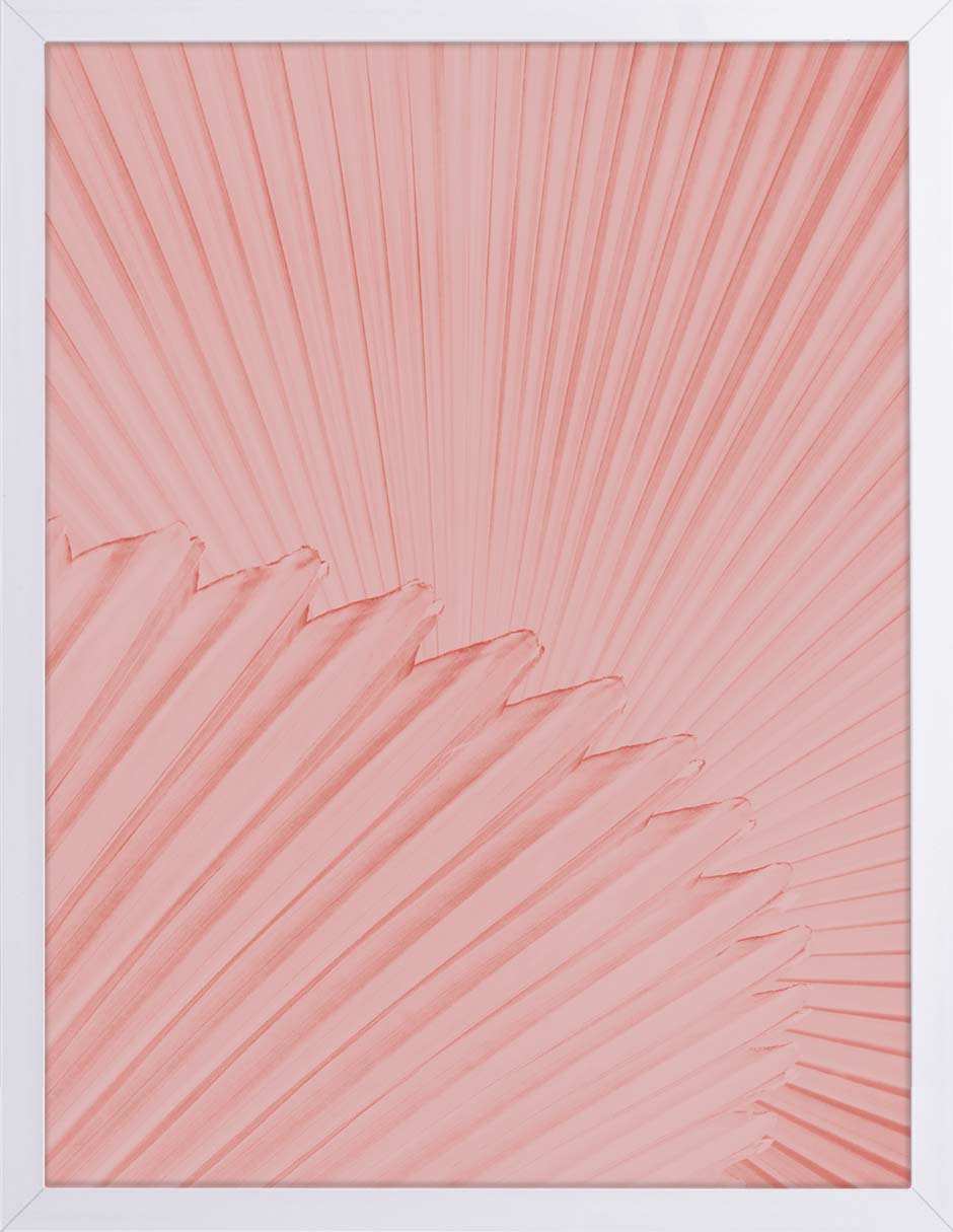 Abanico Rosa: cuadro decorativo, vista 5 (blanco)