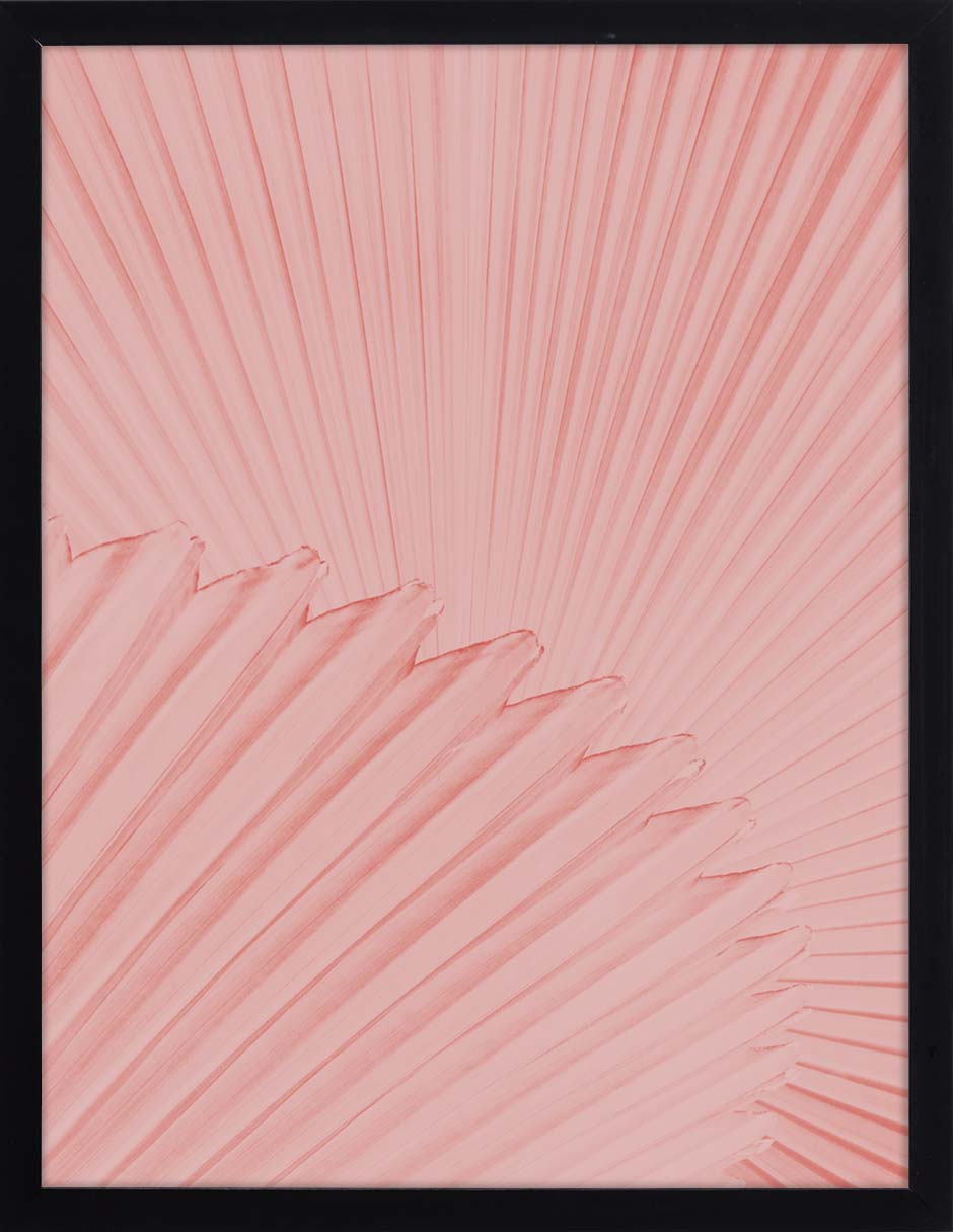 Abanico Rosa: cuadro decorativo, vista 6 (negro)
