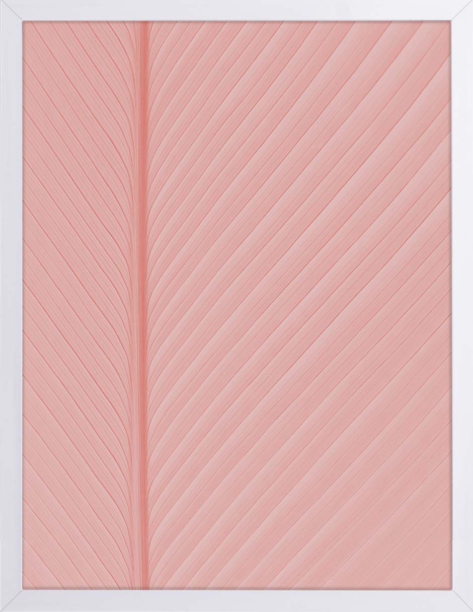 Hoja Rosa: cuadro decorativo, vista 5 (blanco)