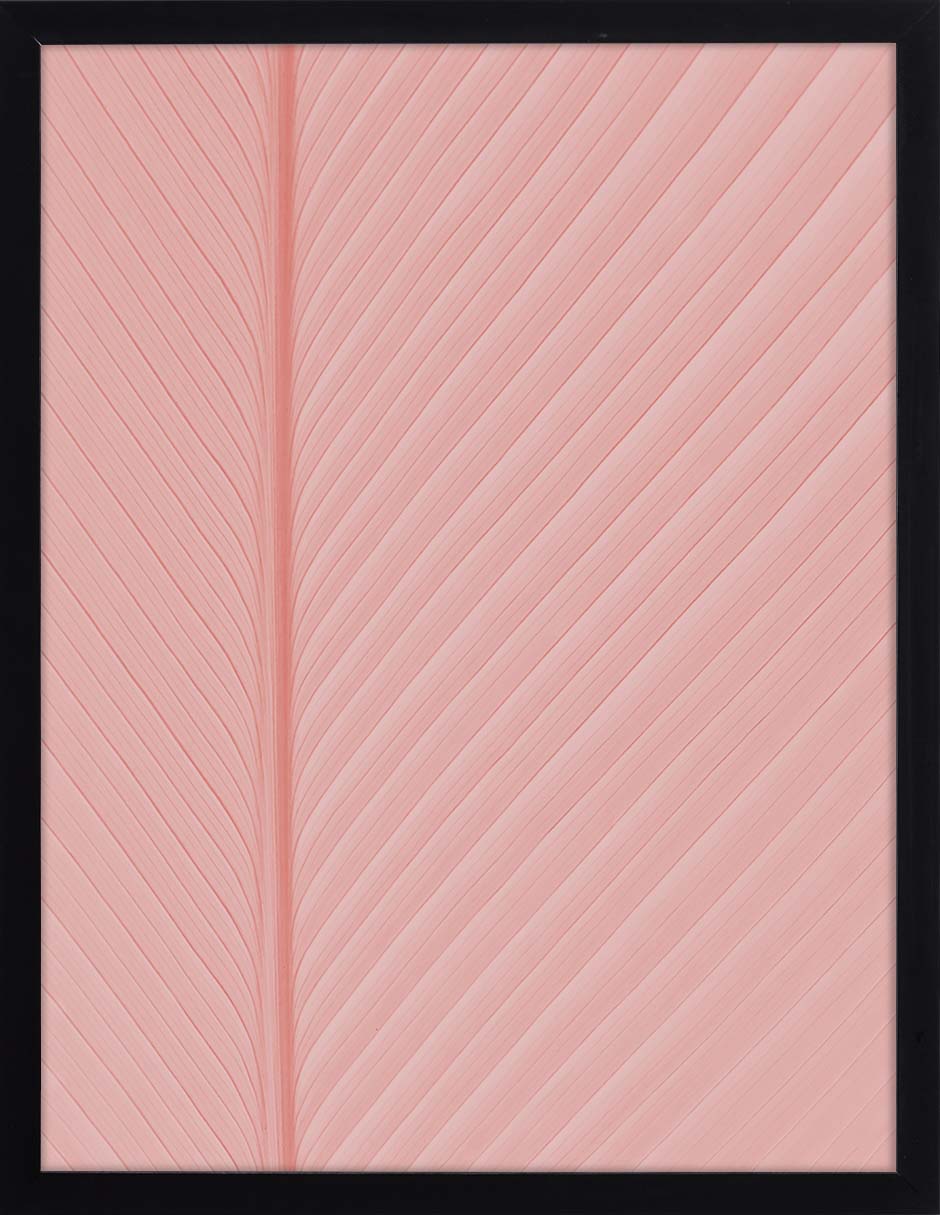 Hoja Rosa: cuadro decorativo, vista 6 (negro)