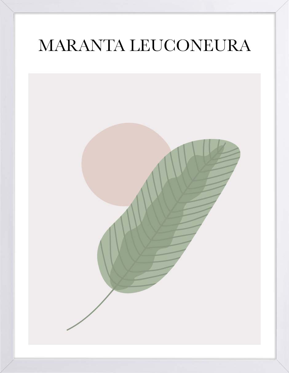 Maranta: cuadro decorativo, vista 5 (blanco)