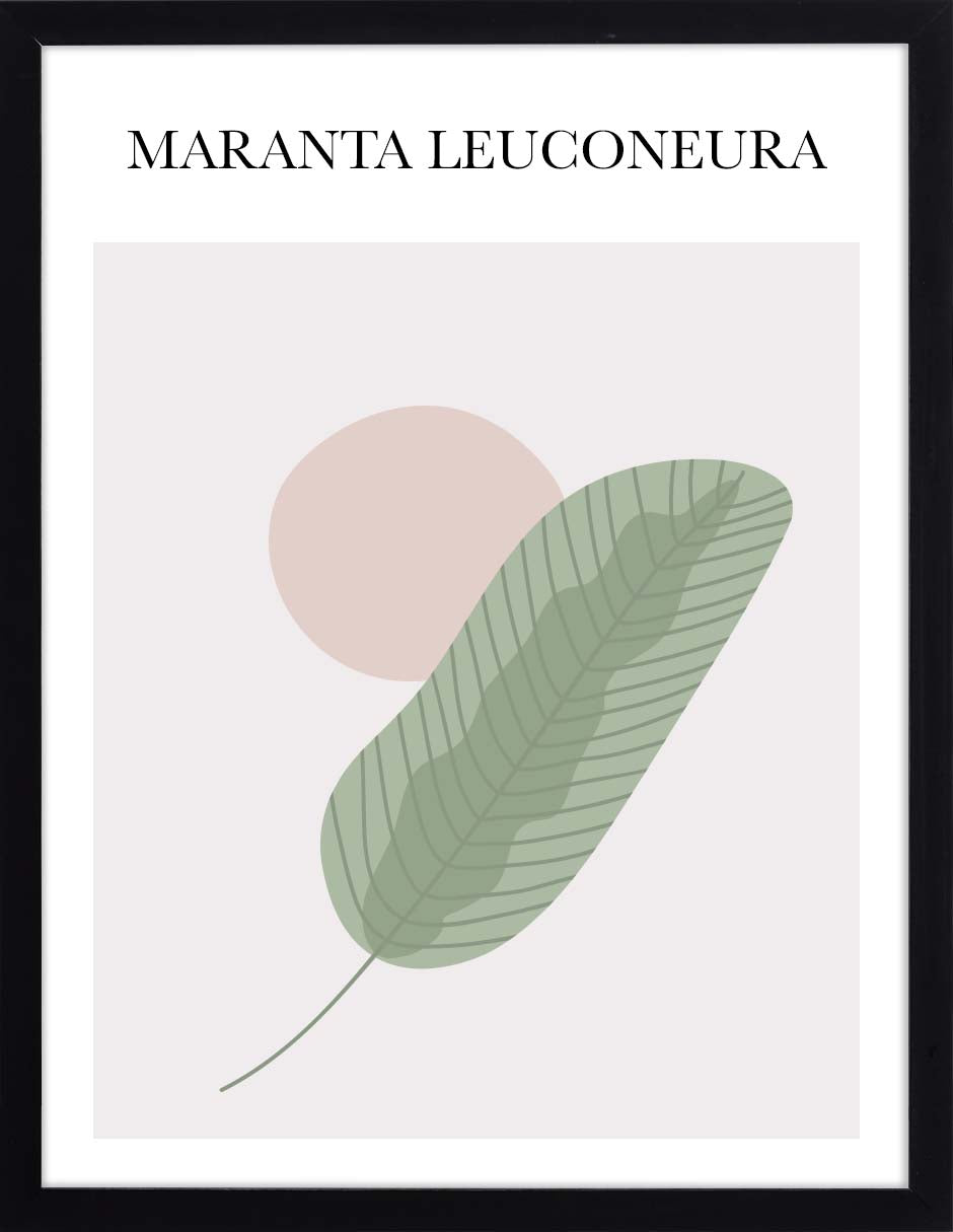 Maranta: cuadro decorativo, vista 6 (negro)