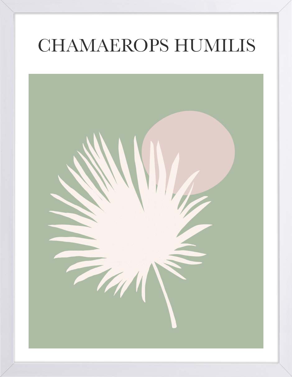 Palma Abanico: cuadro decorativo, vista 5 (blanco)