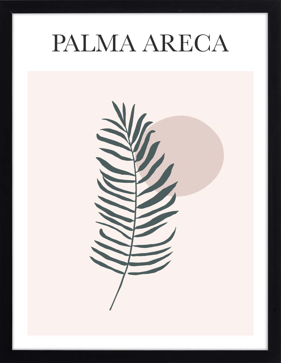 Palma Areca: cuadro decorativo, vista 6 (negro)